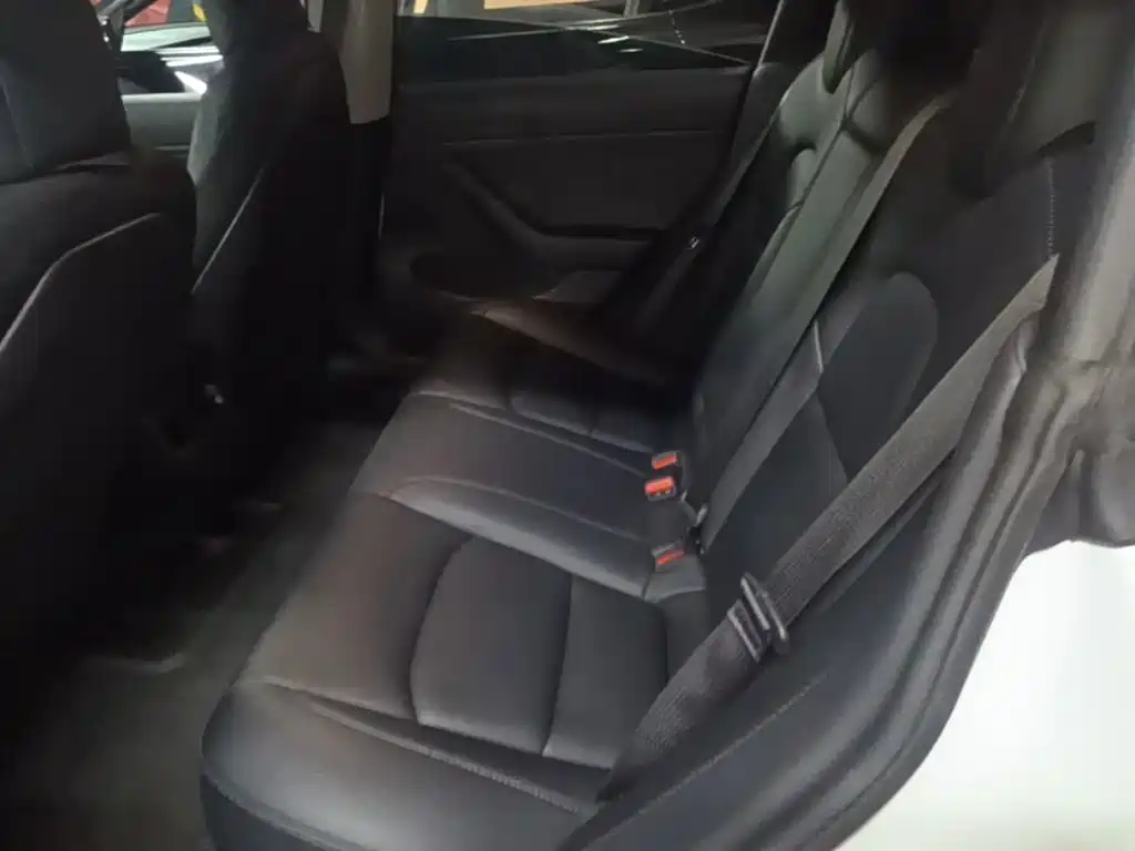 Photo 17 - Tesla Model 3 (Import)