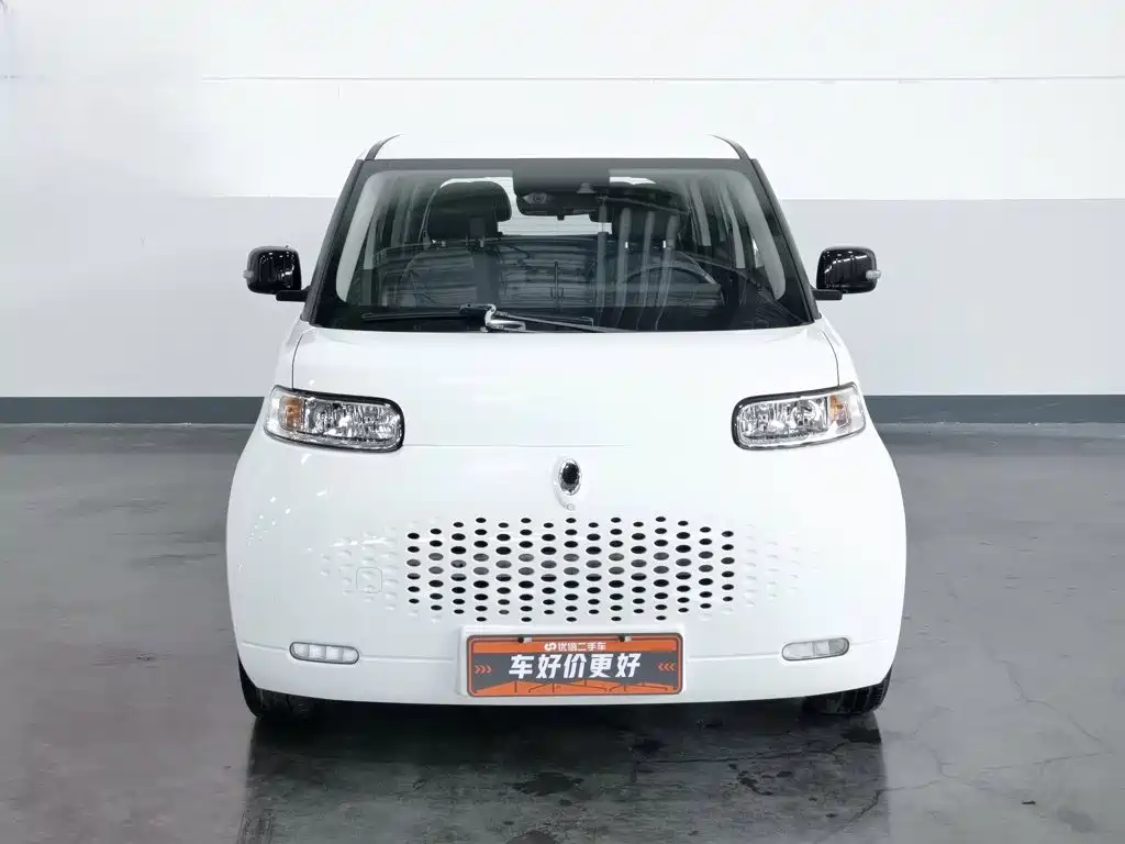 Ora White Cat 2021 2020 401km Flagship Model