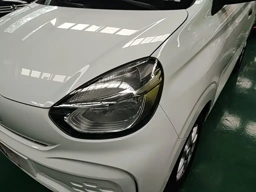 Roewe Clever 2023 2022 311km Vitality Bobo Edition