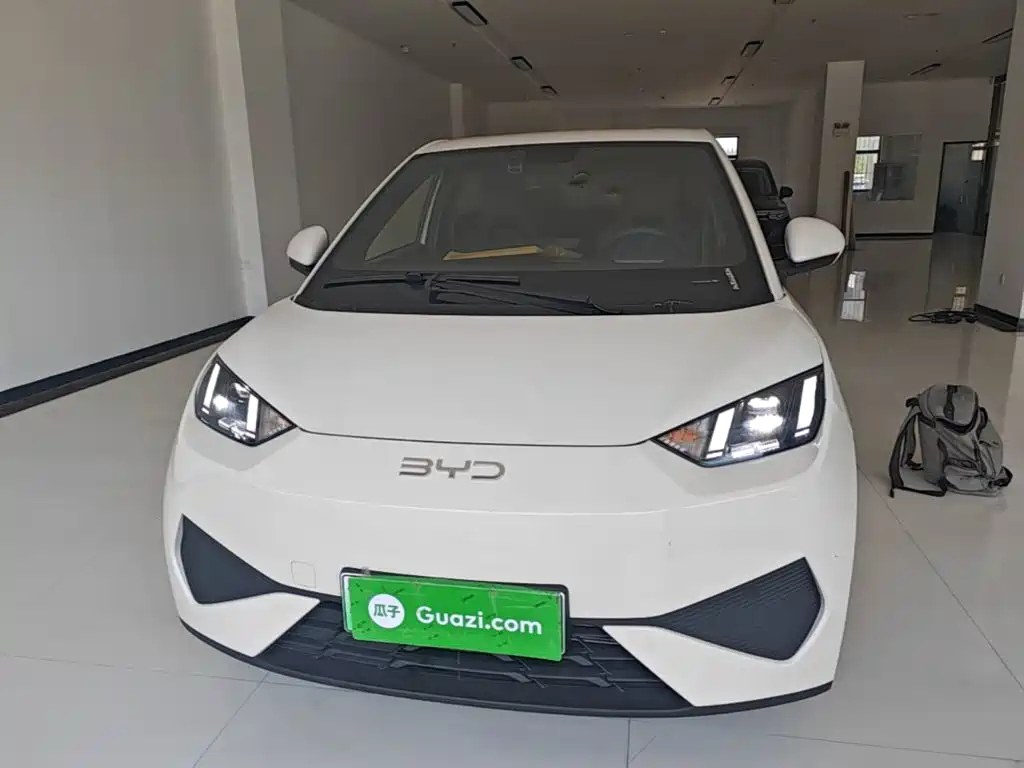BYD Seagull 2026 2025 Smart Drive Edition 405km Free Edition