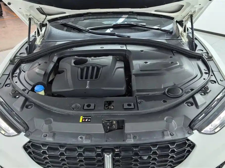 WEI PAI WEI BRAND VV7