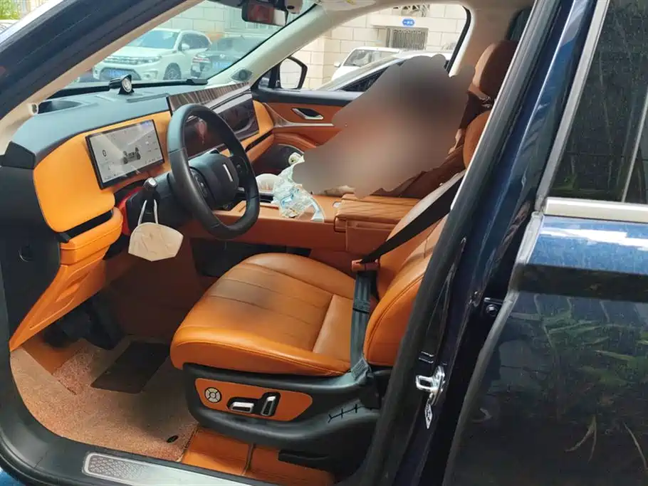 WEI PAI WEI BRAND BLUE MOUNTAIN