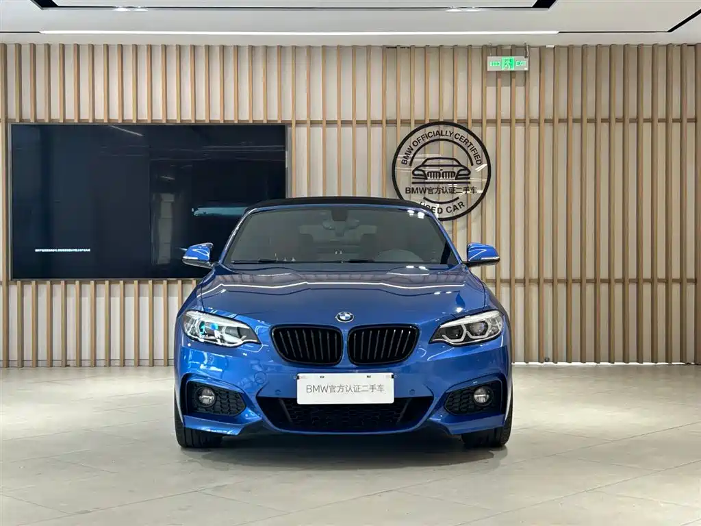 BMW 2 Series (Import) 2019 225i Convertible Coupe Exclusive M Sport Package фото 16