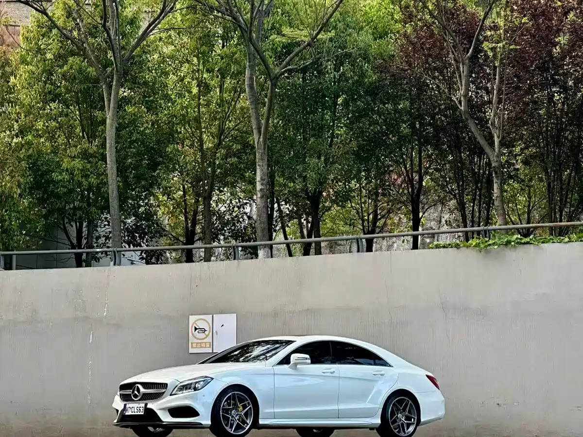 Mercedes-Benz CLS 2016 CLS 260 Edition фото 3