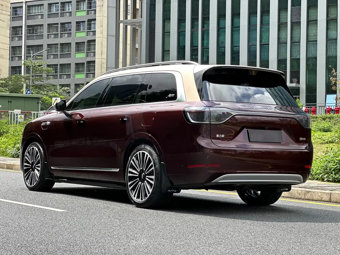 AITO Wenjie AITO M9 2025 Extended Range Max 52kWh 6-Seater фото 6