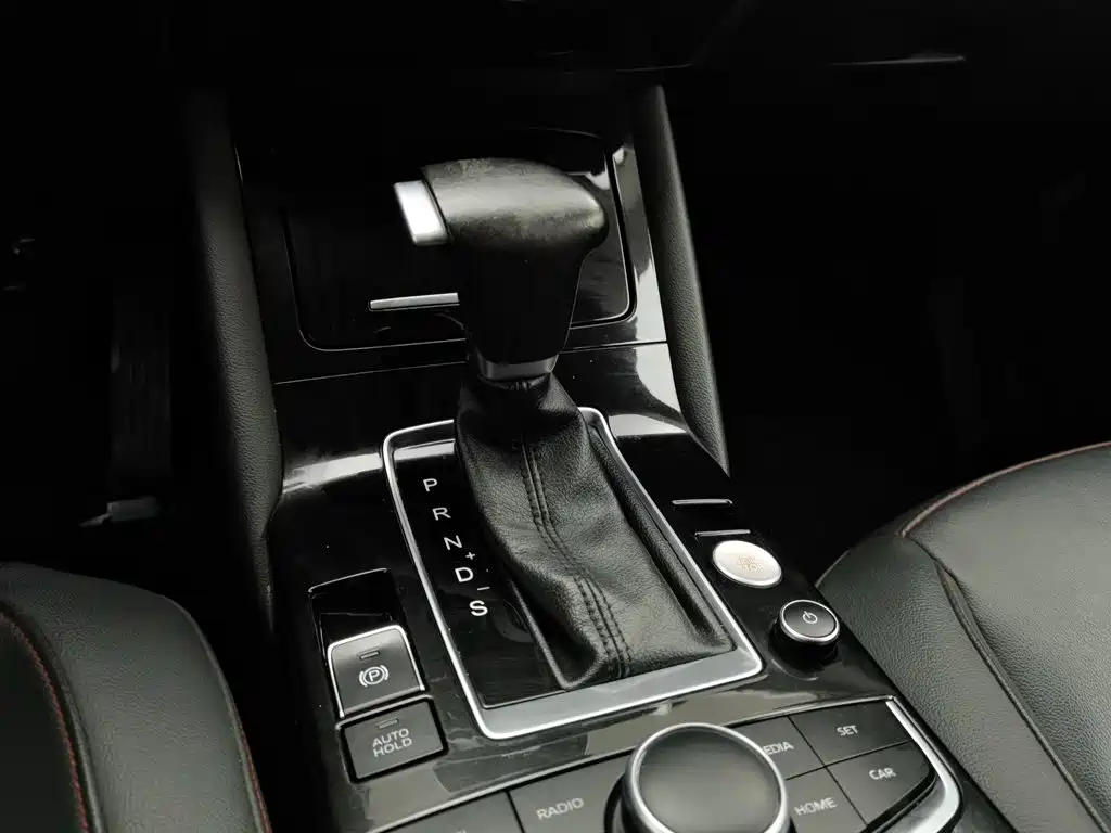 صورة 13 - Borgward BX5