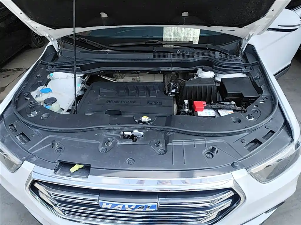 Haval H6 2018 Blue Label Sport 1.5T Manual 2WD Elite фото 20