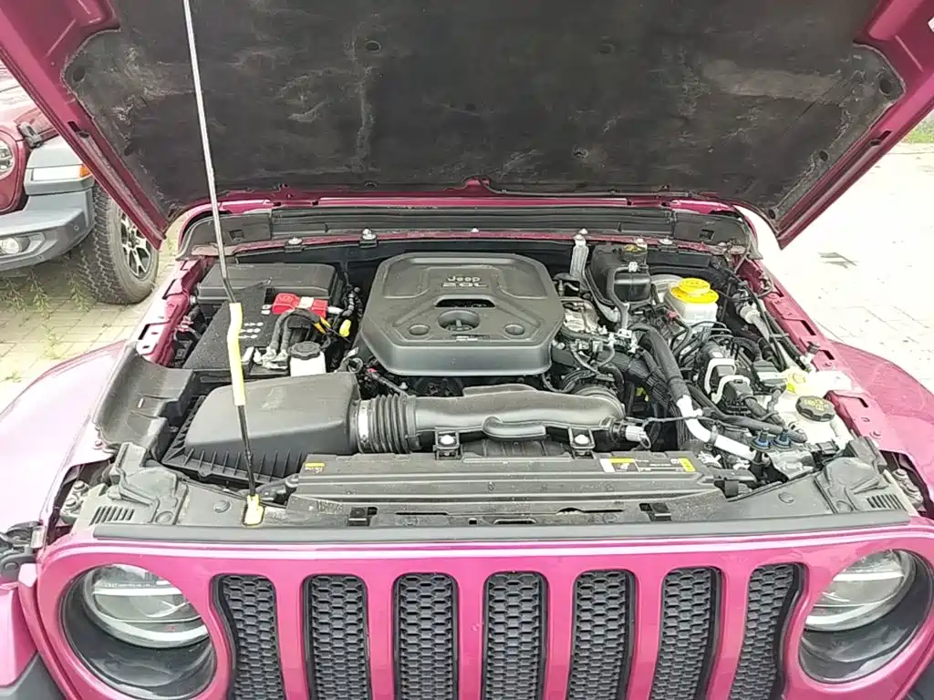 Jeep Wrangler 2024 2022 2.0T Highland Bahamas Pink Sand Special