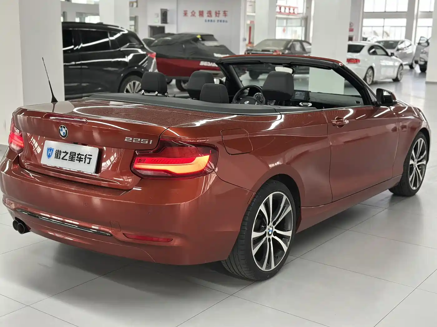 BMW 2 Series (Import) 2019 225i Convertible Coupe Sport Design Package фото 8