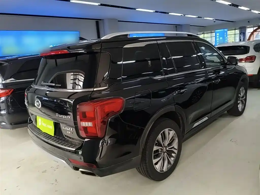 GAC Trumpchi Trumpchi GS8 2017 320T 2WD Luxury Smart Connect (7-seater) фото 7