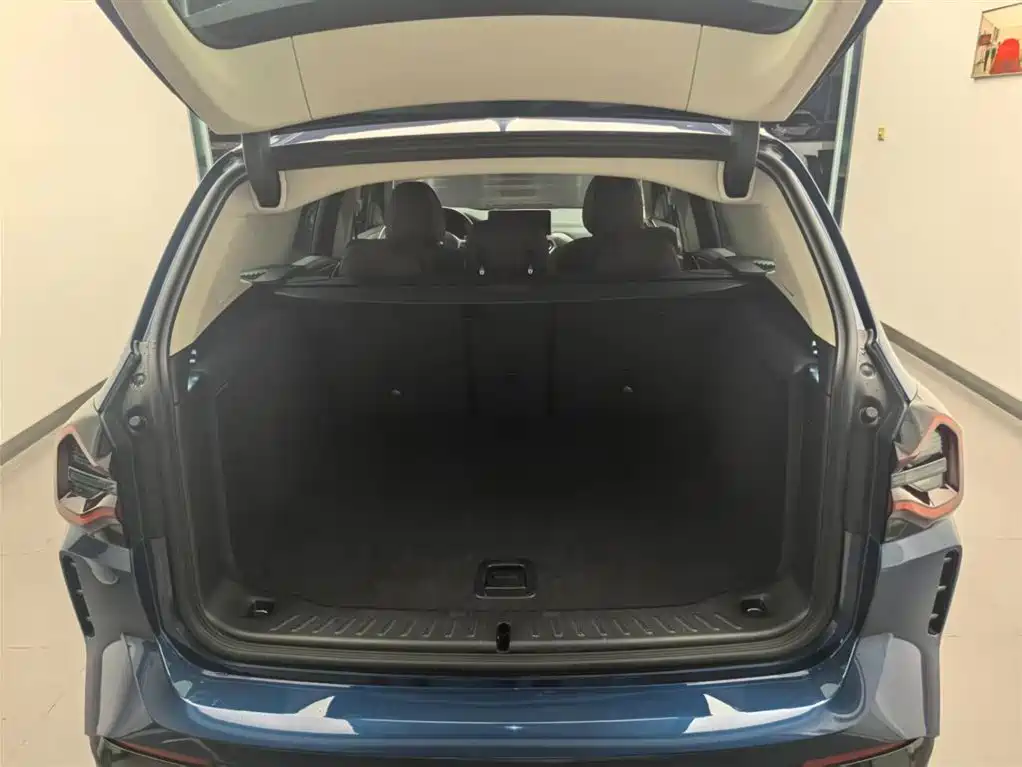 BMW X3 2022 xDrive30i Leading M Night Package фото 14