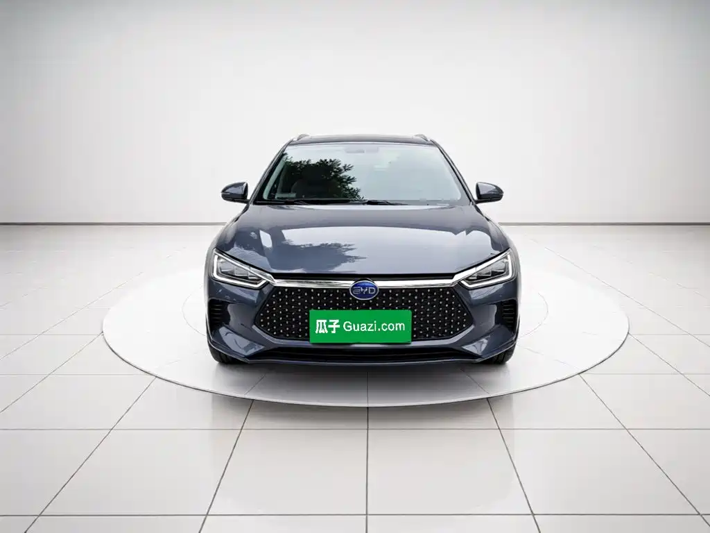 BYD e2 2020 2020 Upgraded Long Range Luxury