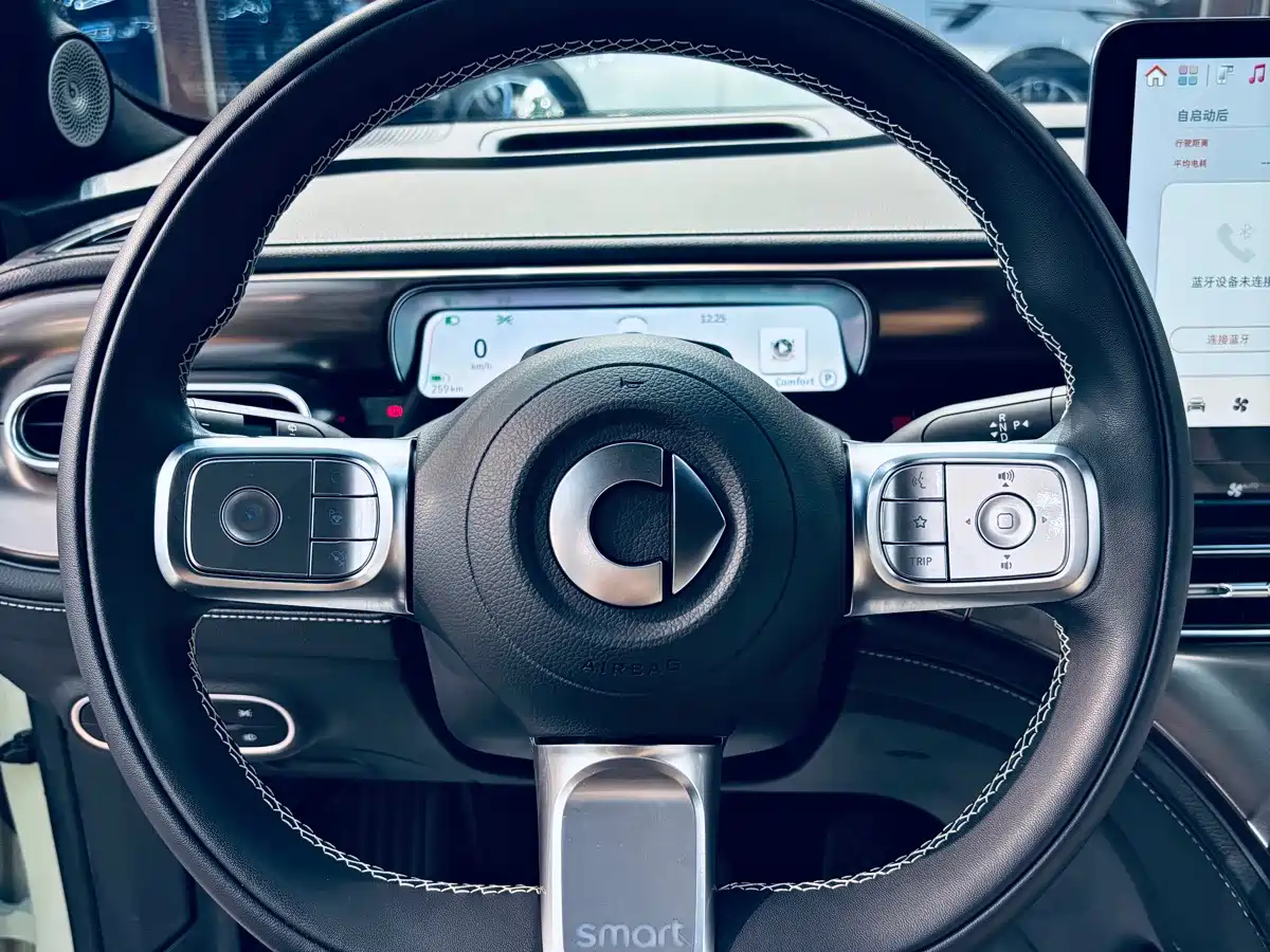 smart Elf #1 2024 2024 Premium Edition