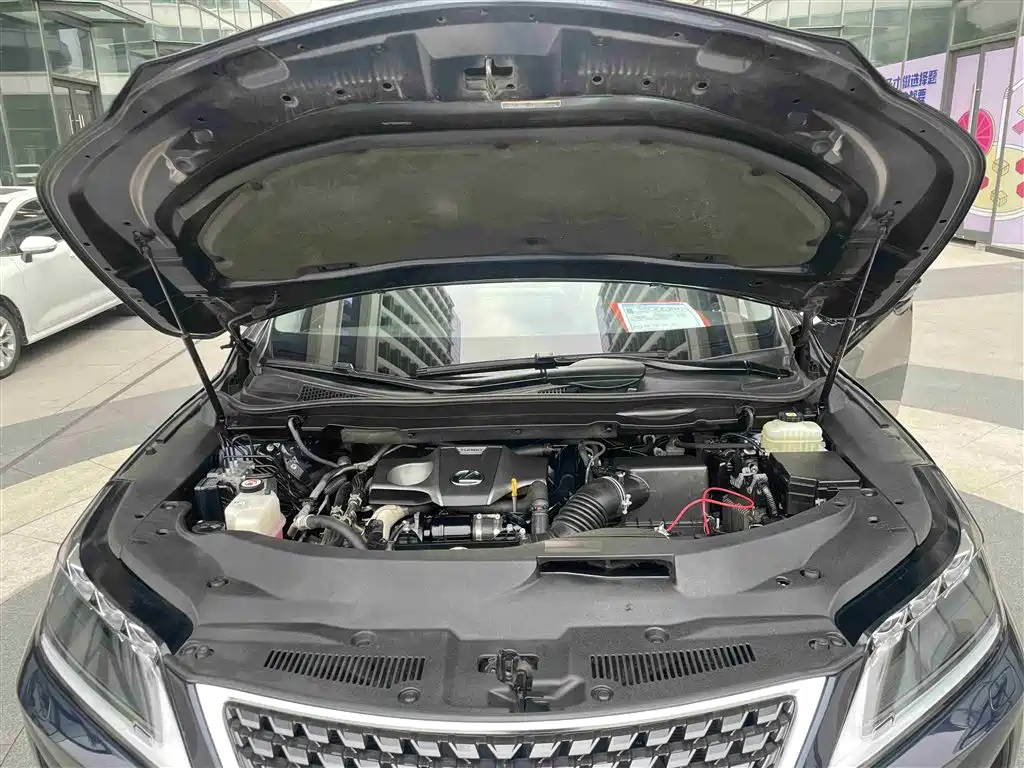 Lexus RX 2020 Facelift 300 AWD Elegance Edition фото 23