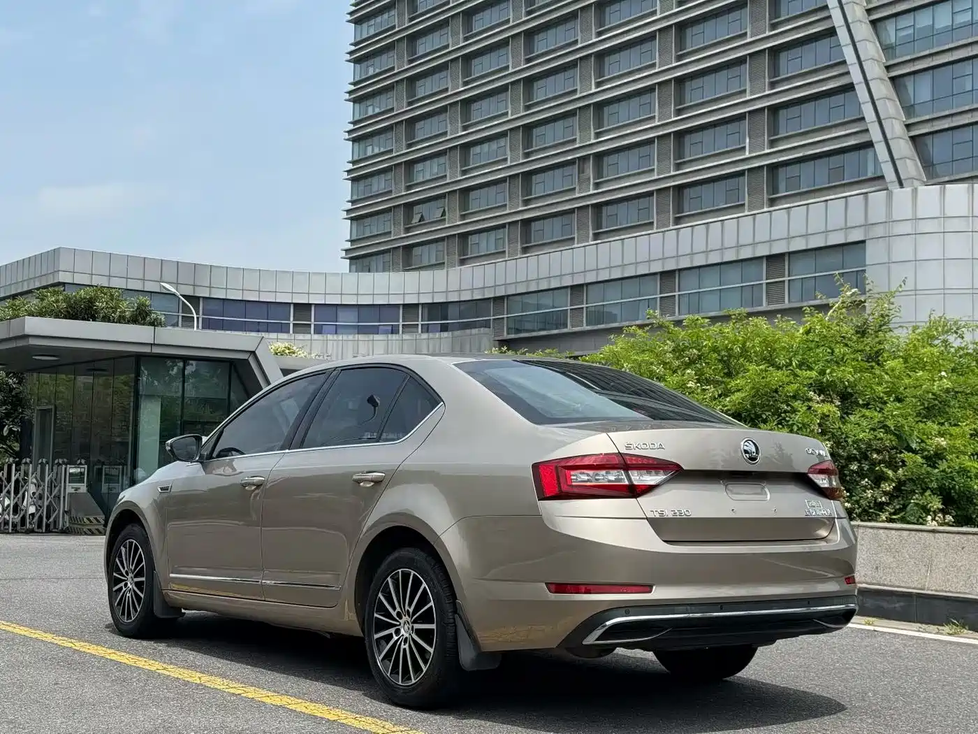 Škoda Octavia 2018 TSI230 DSG Luxury Edition фото 7