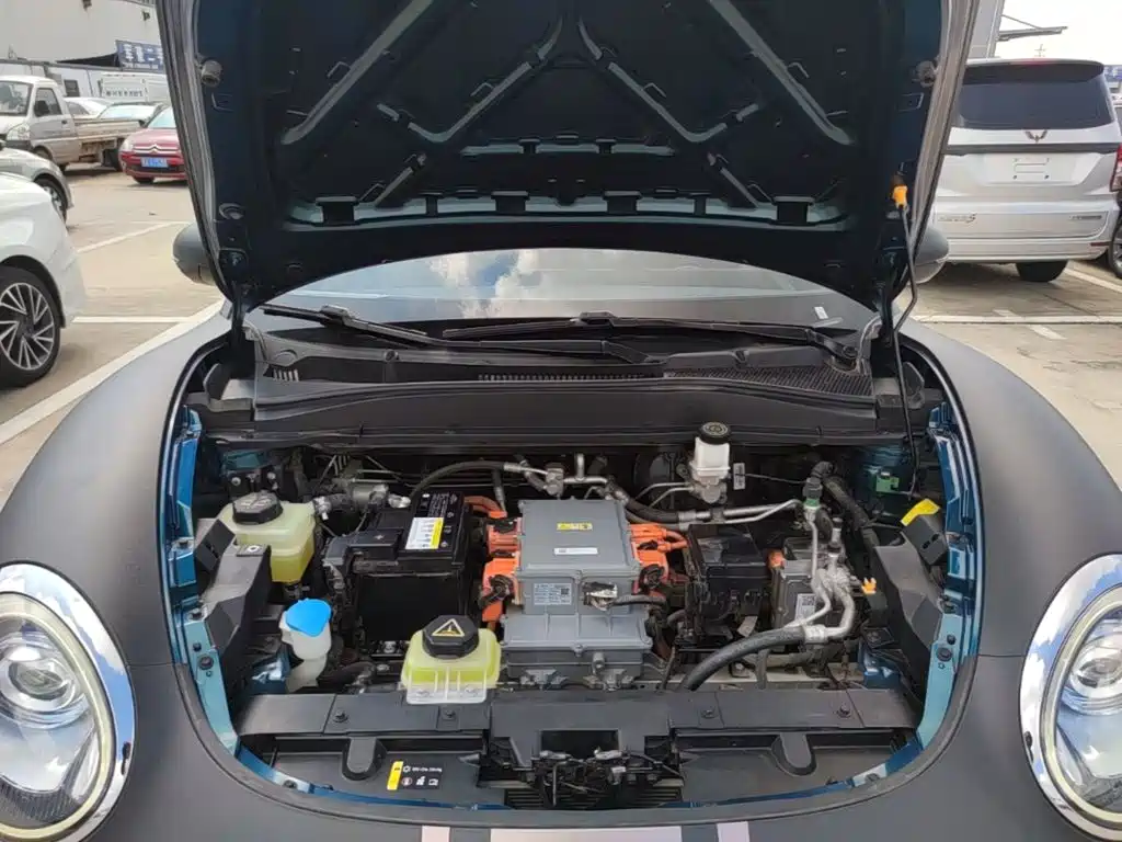 Ora Good Cat 2021 2021 400km Standard Range Venus Edition (LFP)