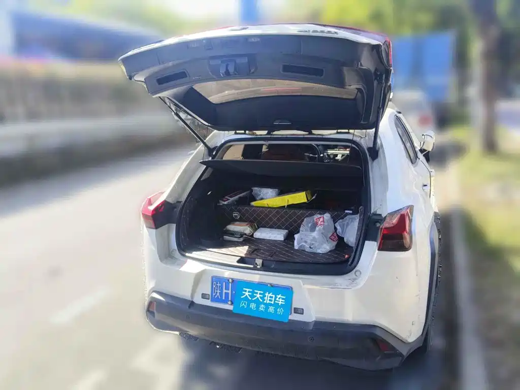 Lexus UX 2019 2019 260h Explore Cool Edition China VI