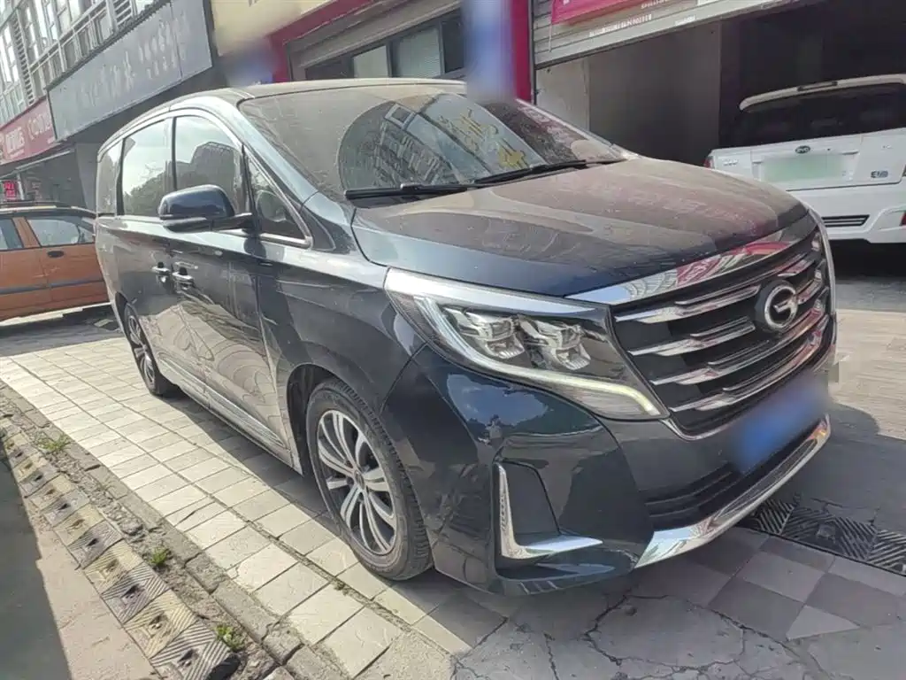 GAC Trumpchi Trumpchi M8 2020 Pilot 390T Prestige Edition фото 4