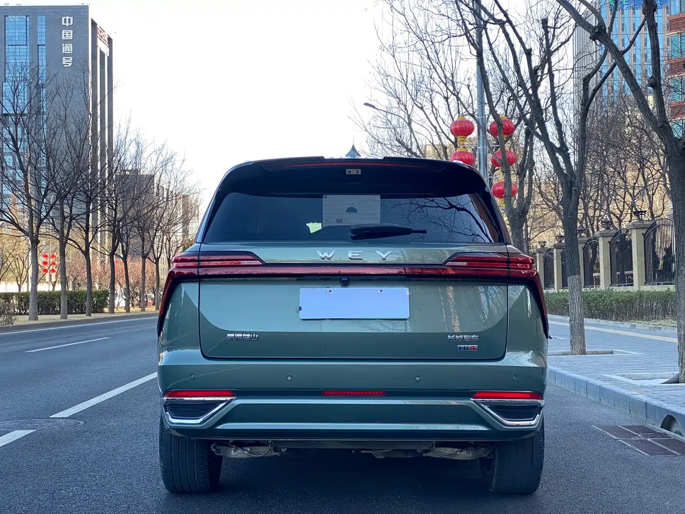 WEI PAI WEI BRAND BLUE MOUNTAIN