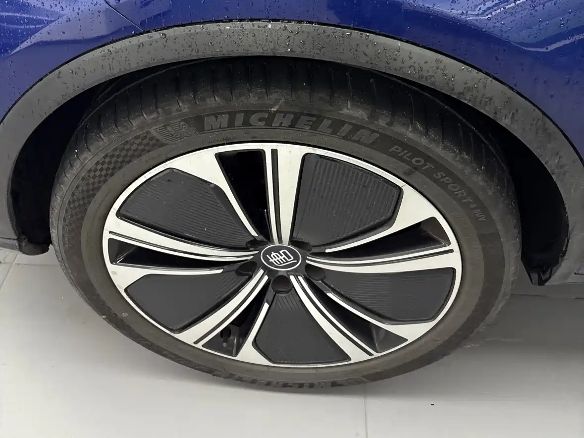 BYD Tang New Energy 2022 EV 635KM AWD Flagship фото 7