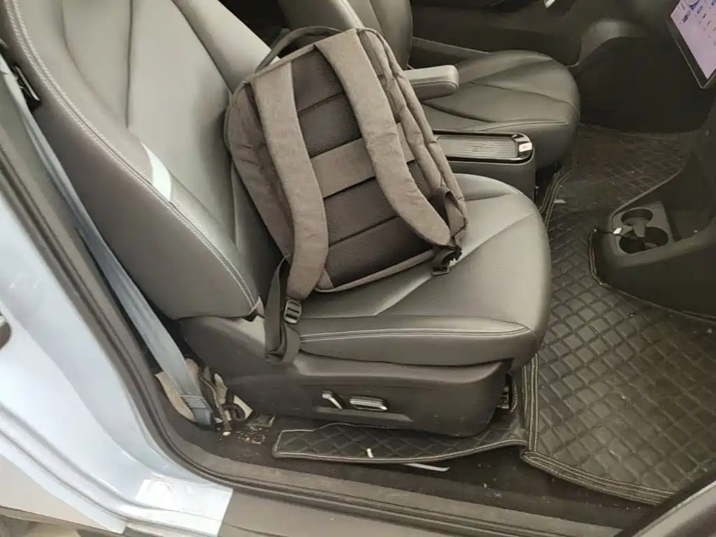 Chery New Energy Chery Wujie Pro 2022 2022 Model 301km Mythical Beast Edition LFP