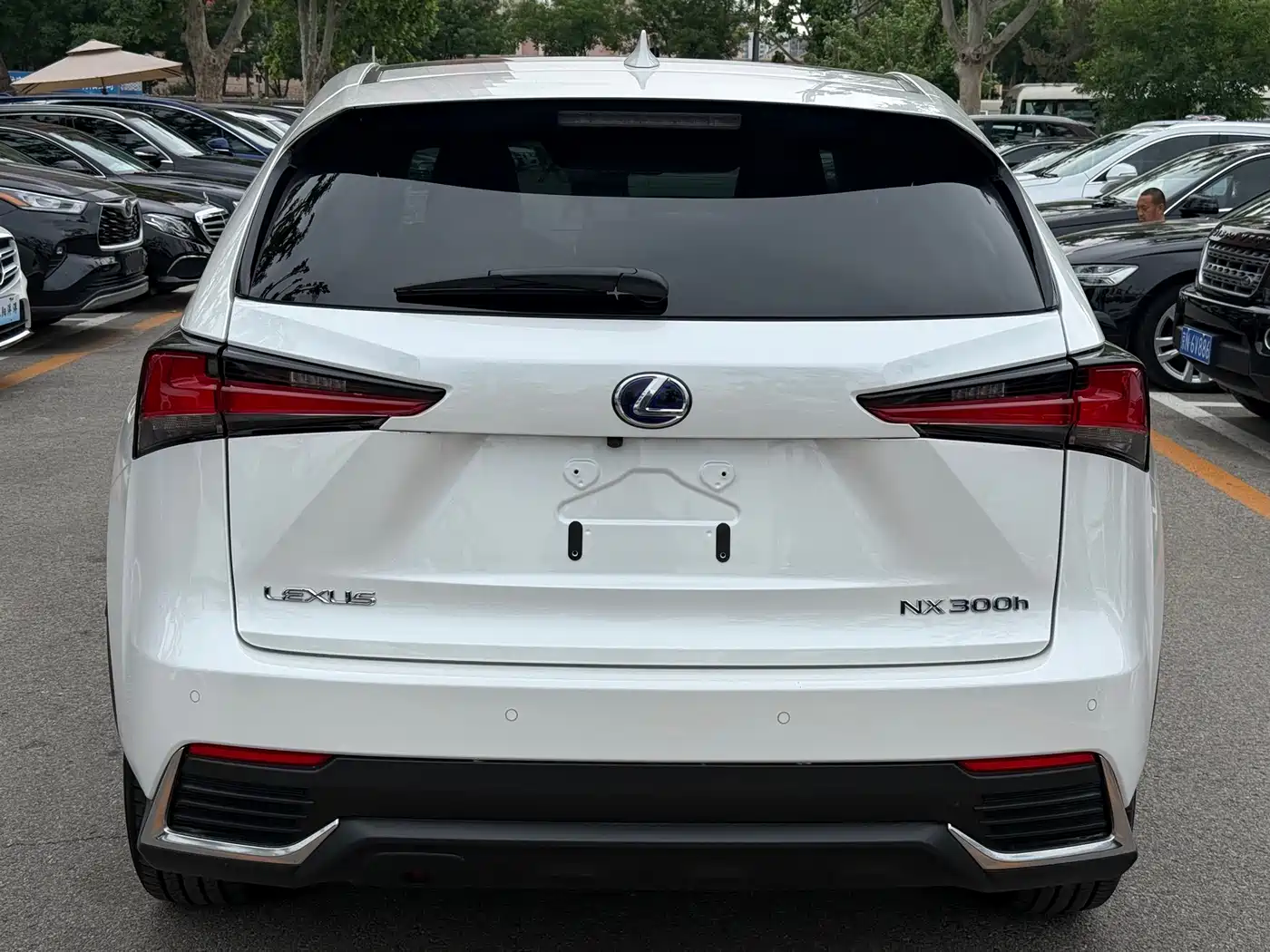 Lexus NX 2018 Model 300h AWD Fengzhi Edition China V фото 15