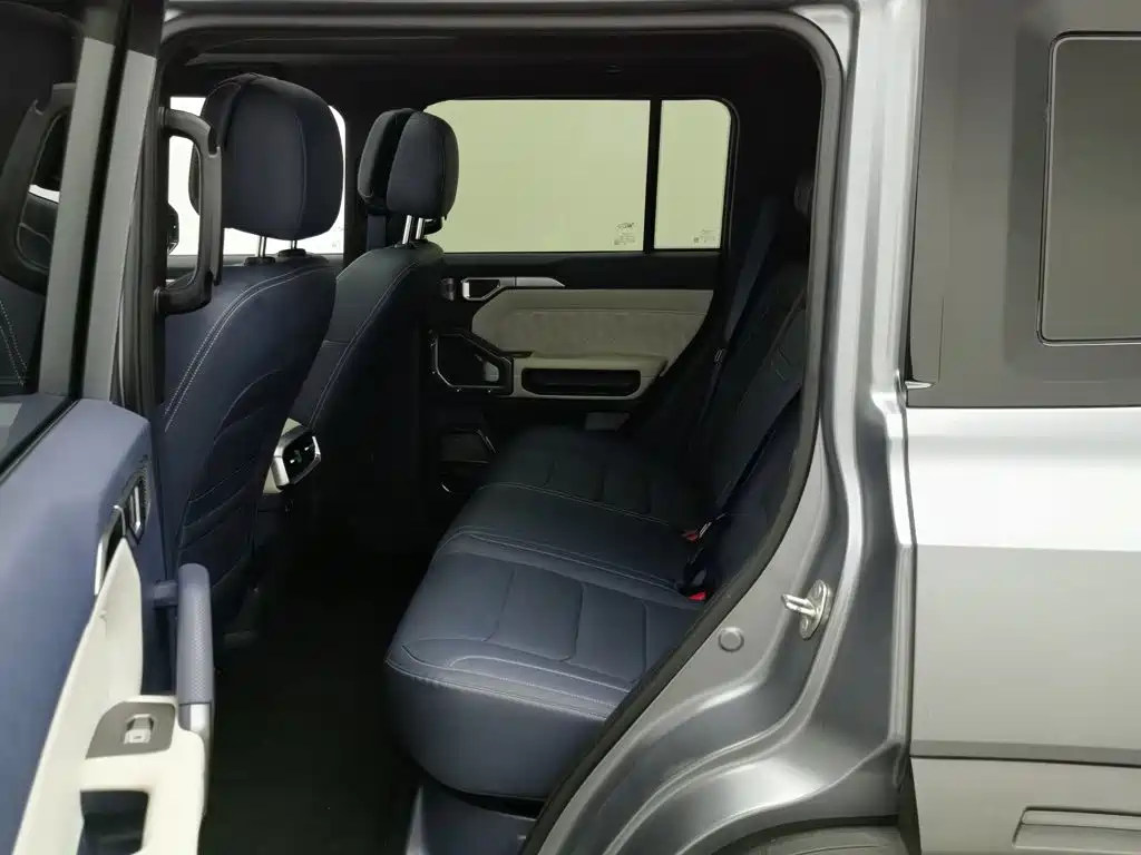 Jetour Shanhai T2 2024 2024 C-DM 208KM Wilderness Edition