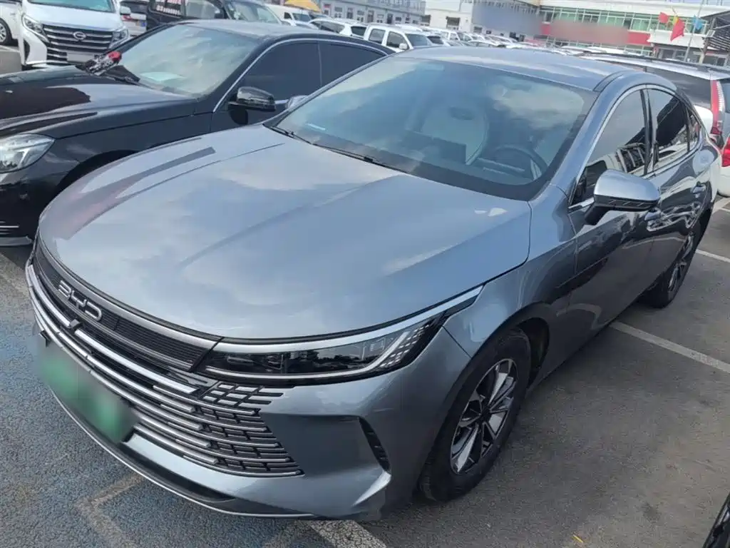 BYD Destroyer 05 2023 Champion Edition DM-i 55KM Luxury фото 2