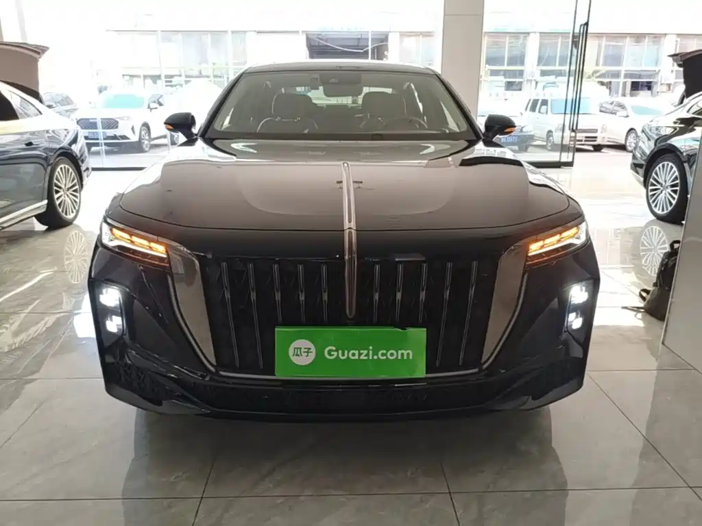 Hongqi H9 2024 2024 2.0T Qi Enjoy Private Fashion Edition