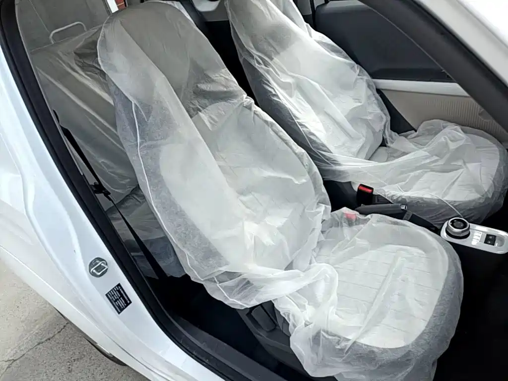 Ruilan Auto Ruilan Blue Elf 2026 2025 Base Model