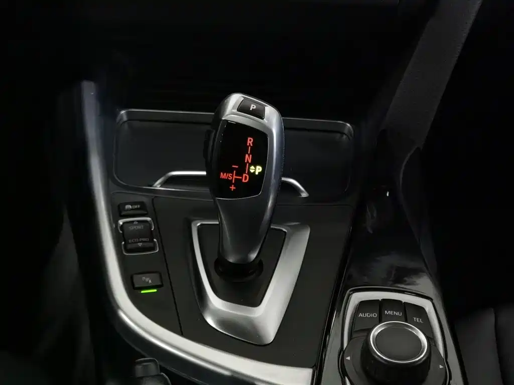 BMW 3 Series 2016 320Li Progressive фото 13