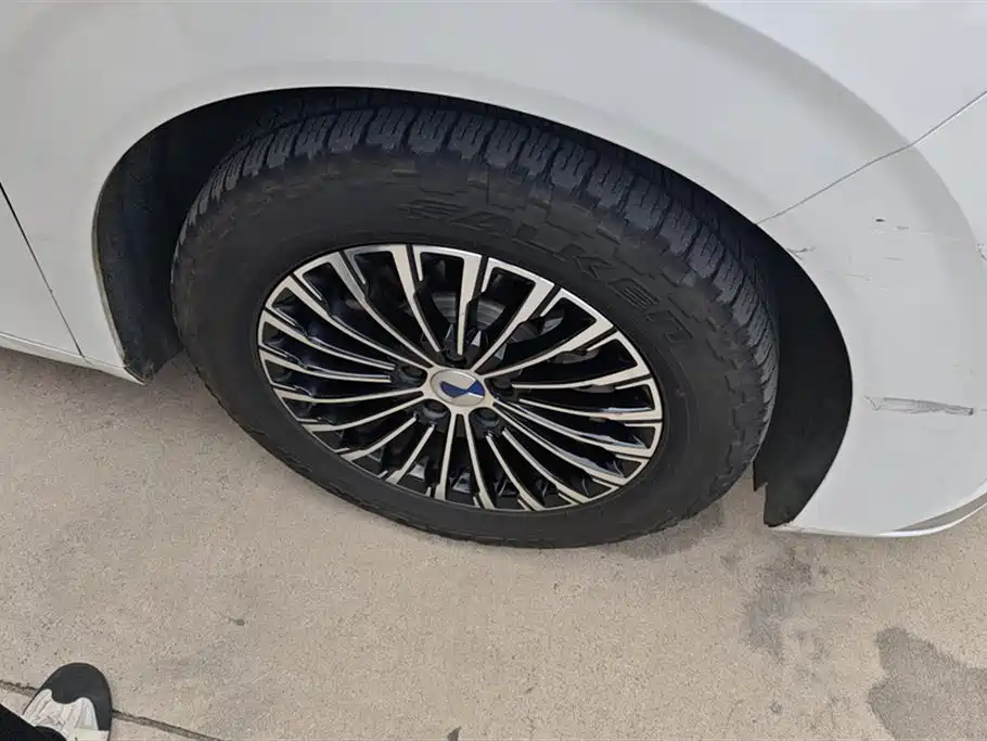 Denza D9 2022 DM-i 970 All-Wheel Drive Honor Edition фото 6
