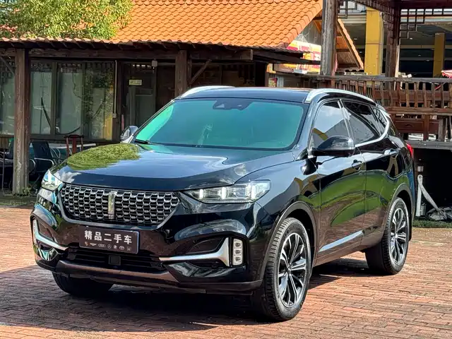 WEI PAI WEI BRAND VV6