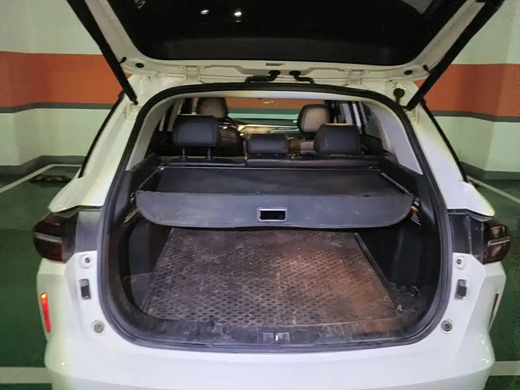 GAC Trumpchi Trumpchi GS4 PLUS 2022 2021 390T Automatic Nebula Edition