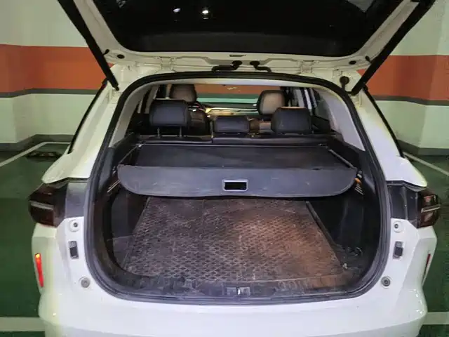 GAC Trumpchi Trumpchi GS4 PLUS 2021 390T Automatic Nebula Edition — фото 5