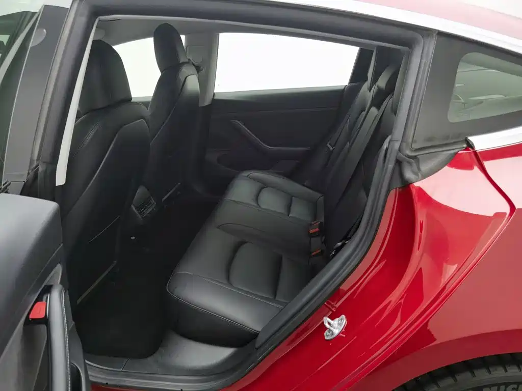 Tesla Model 3 2020 2020 Standard Range Rear-Wheel Drive Upgrade