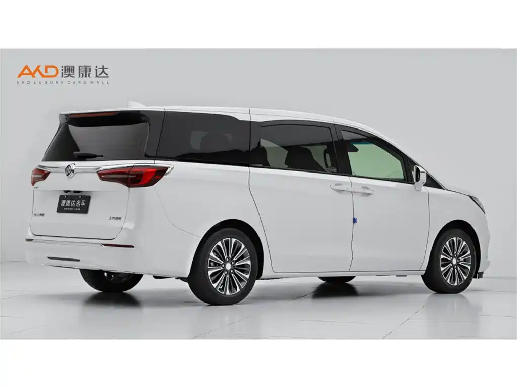 Buick GL8 2021 ES Landlord 653T Luxury фото 3