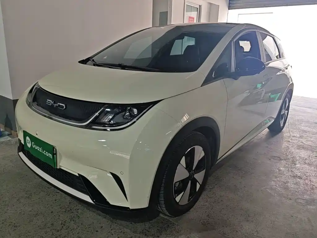 BYD Dolphin 2023