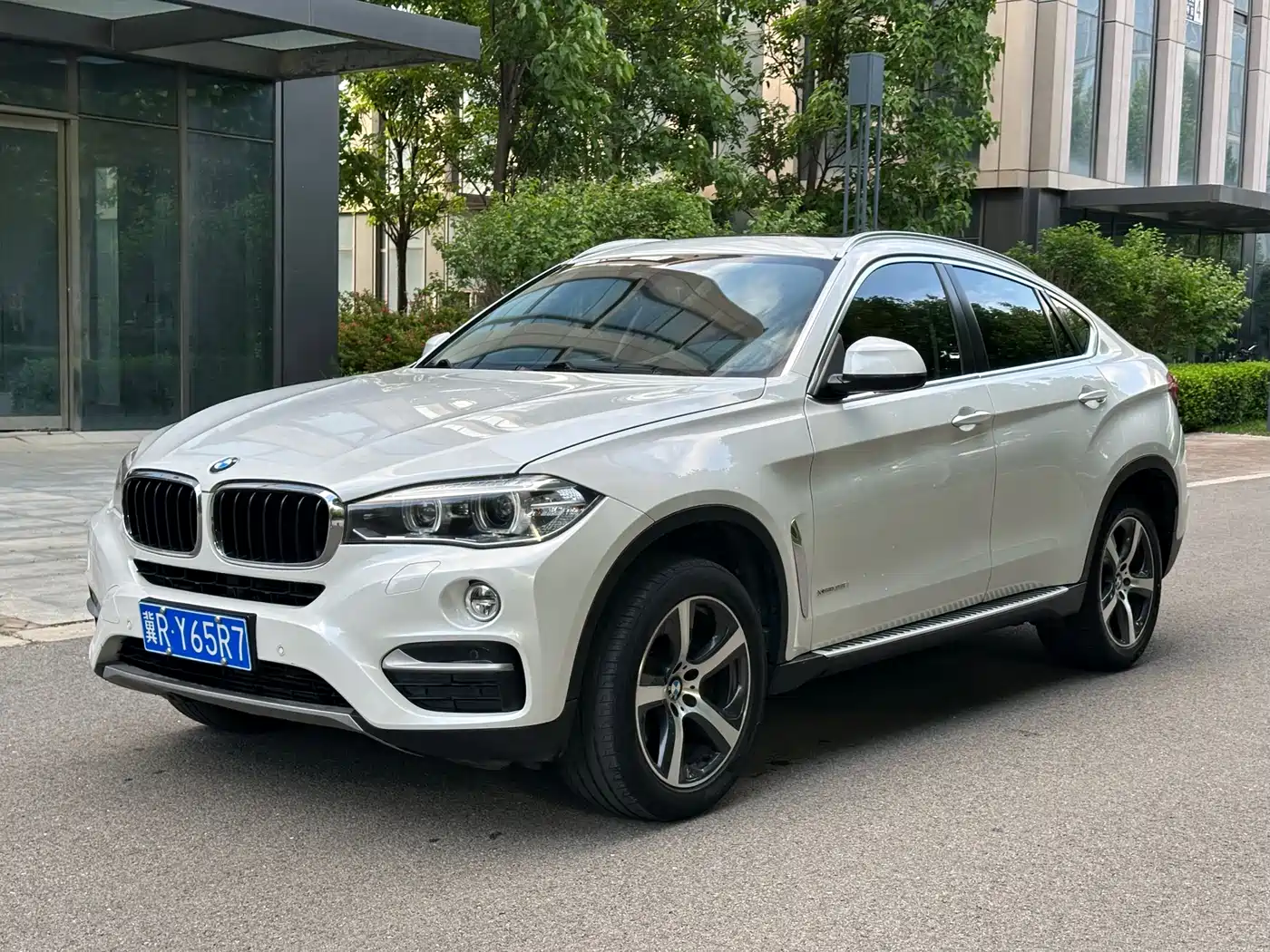 BMW X6 2015 xDrive35i Leading Type