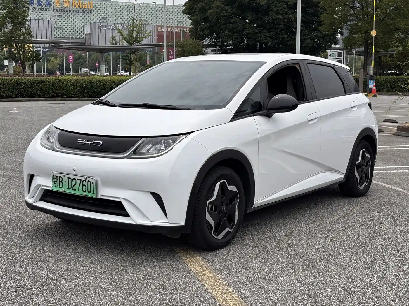  BYD Dolphin 2021 405km Freedom Edition