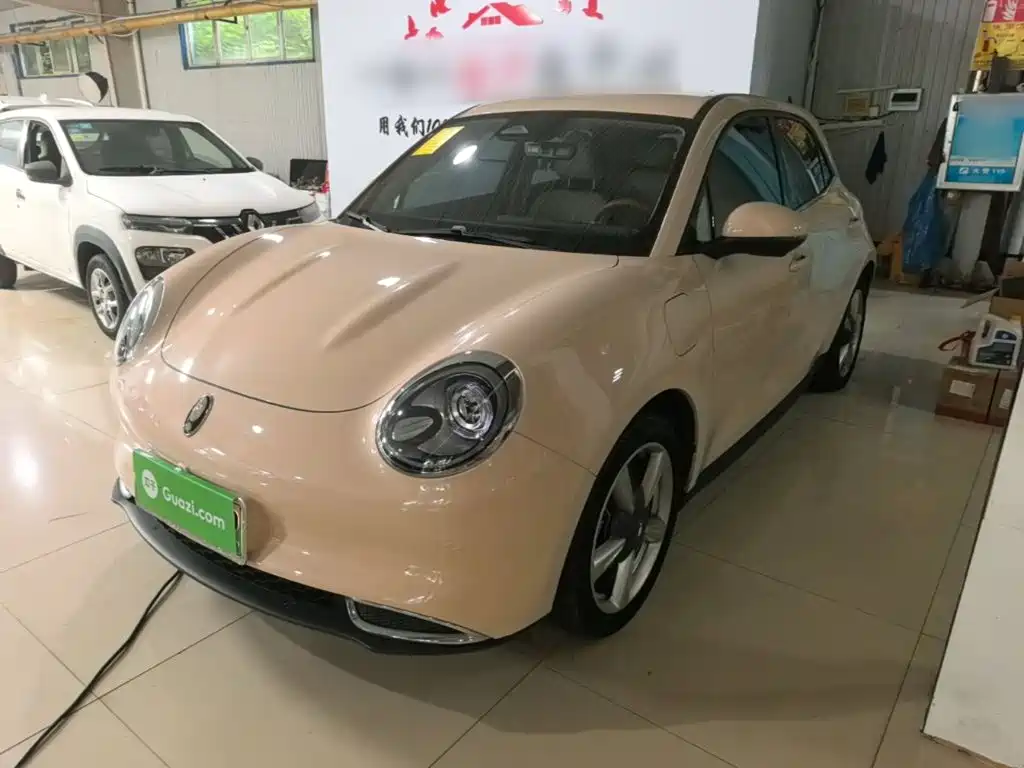 Ora Good Cat 2023 401km Standard Range Luxury LFP