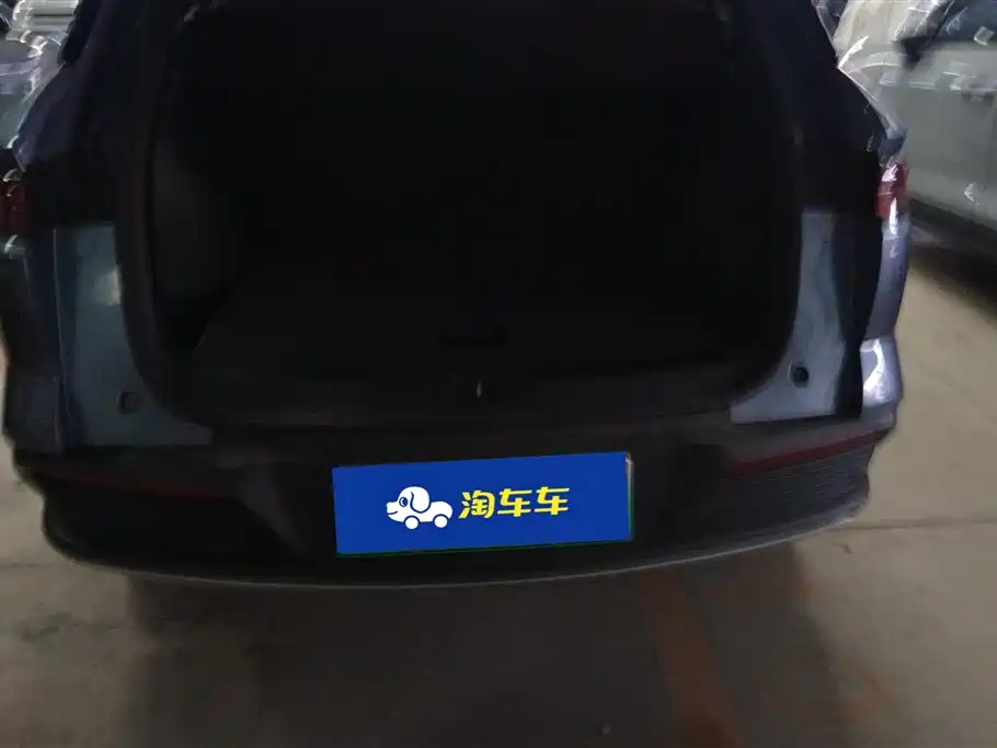 BYD Song Pro New Energy 2024 Glory Edition DM-i 71KM Surpassing фото 4