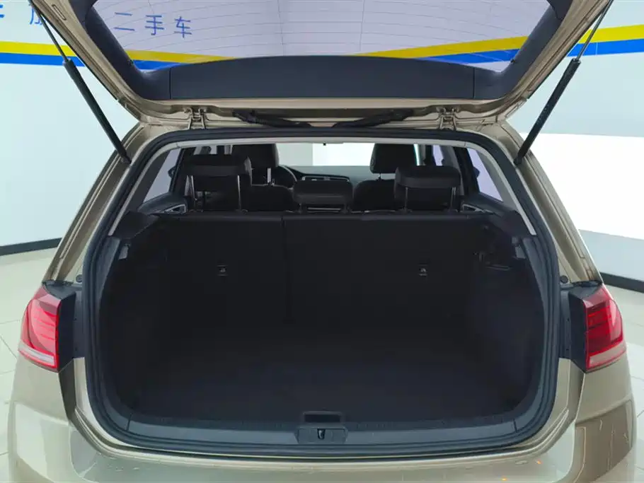 Volkswagen Golf 2020 Beloved Edition 280TSI DSG Comfort фото 4