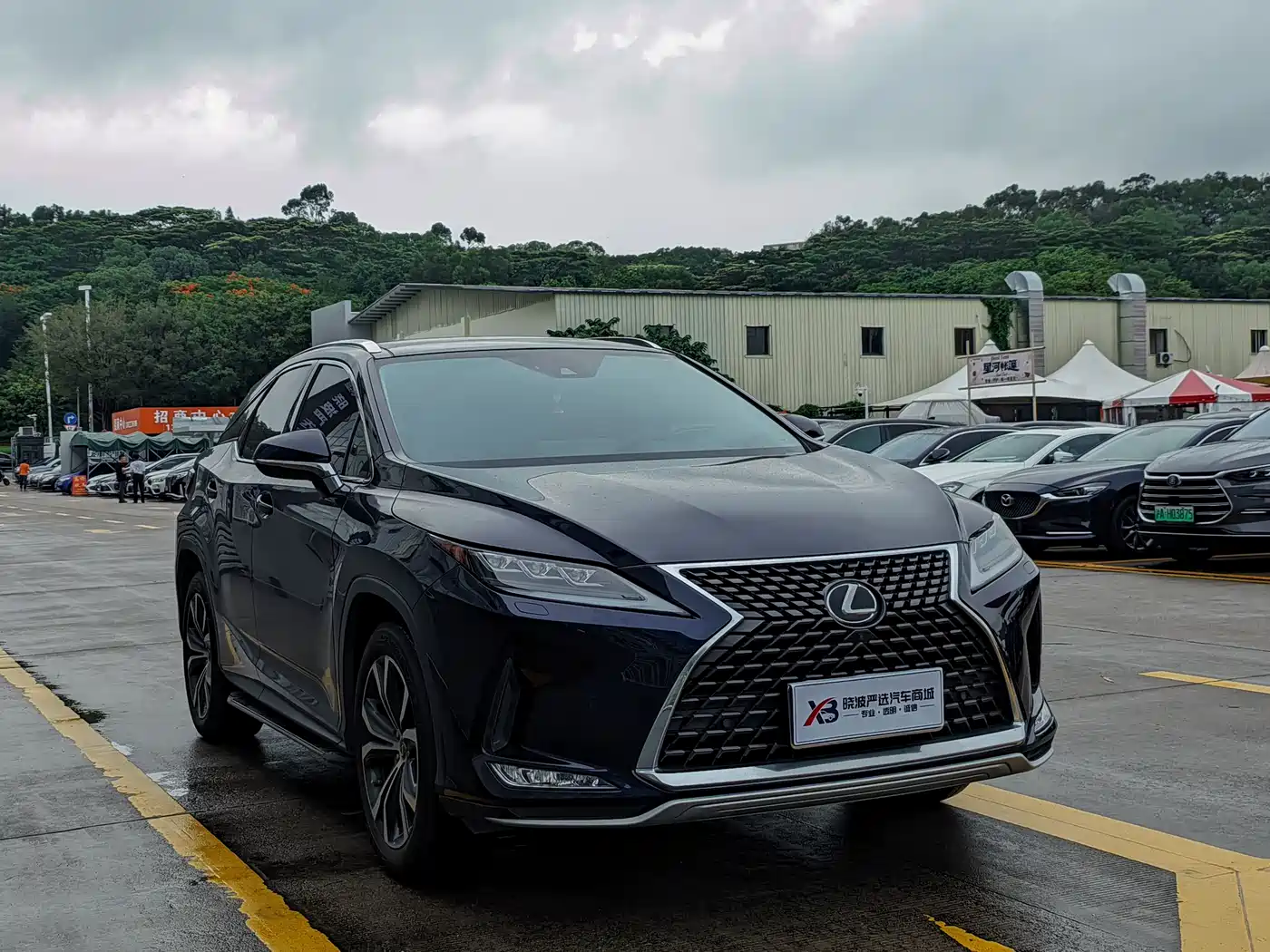LEXUS RX