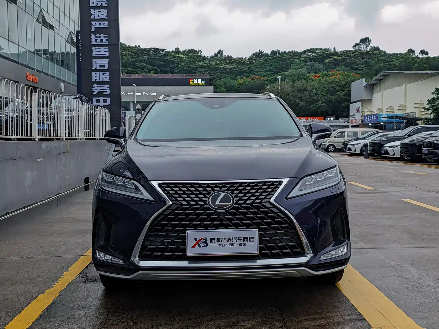 LEXUS RX