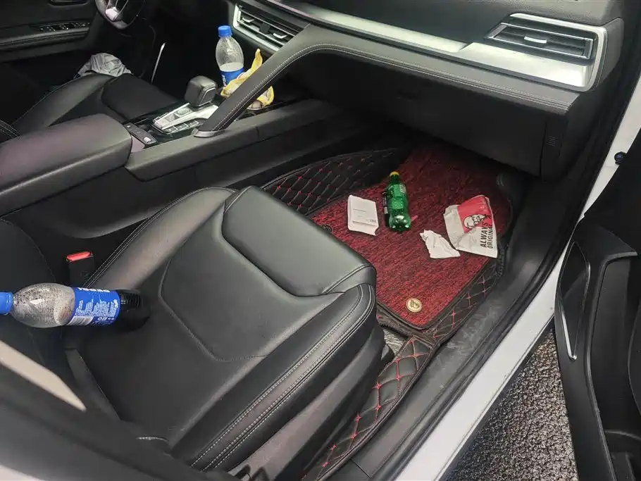 BYD Song Pro 2019 1.5T Automatic Luxury фото 8