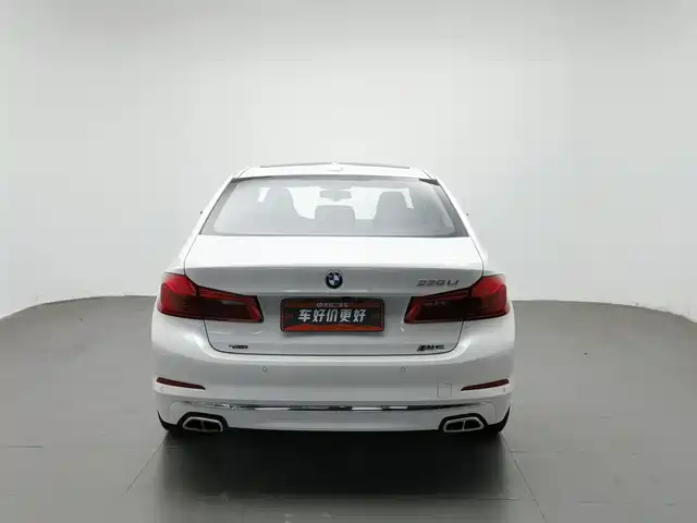BMW 5 Series 2019 530Li xDrive Luxury Package — фото 4