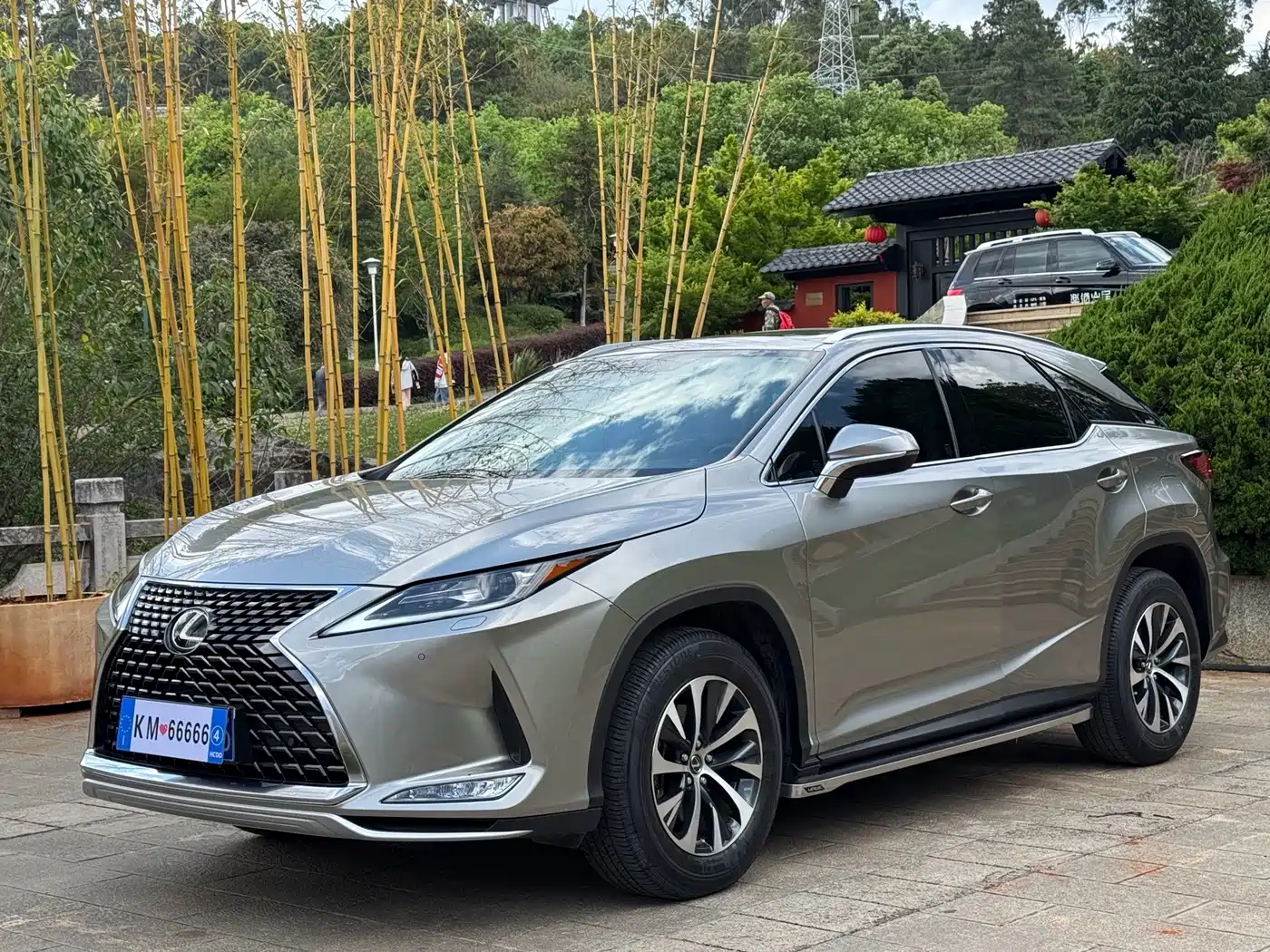 Фото 1 - Lexus RX