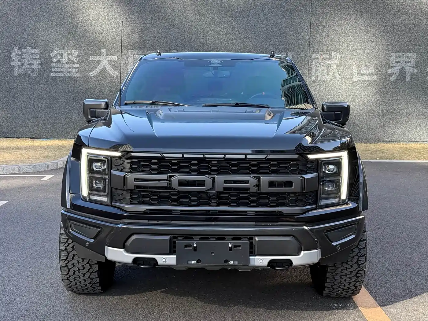 FORD F-150 RAPTOR