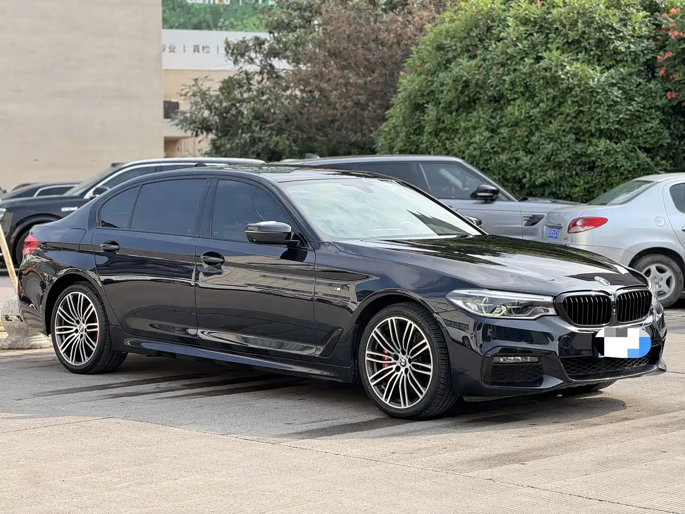 BMW 5 Series 2019 530Li Premium M Sport Package фото 3